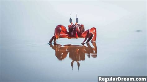 The Symbolism of Red Small Crabs in a Dream
